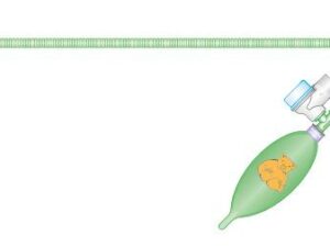 Ayres T Piece, Intersurgical