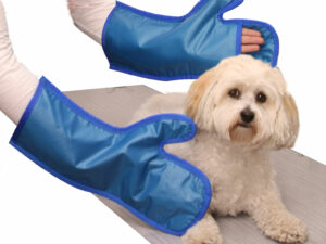 X-ray Protection Apron