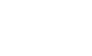 SVS - The Complete Choice