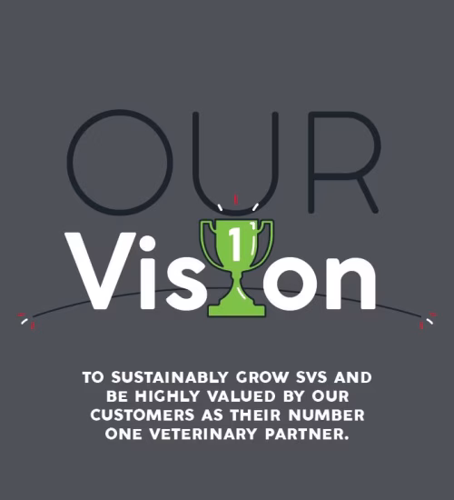 vision